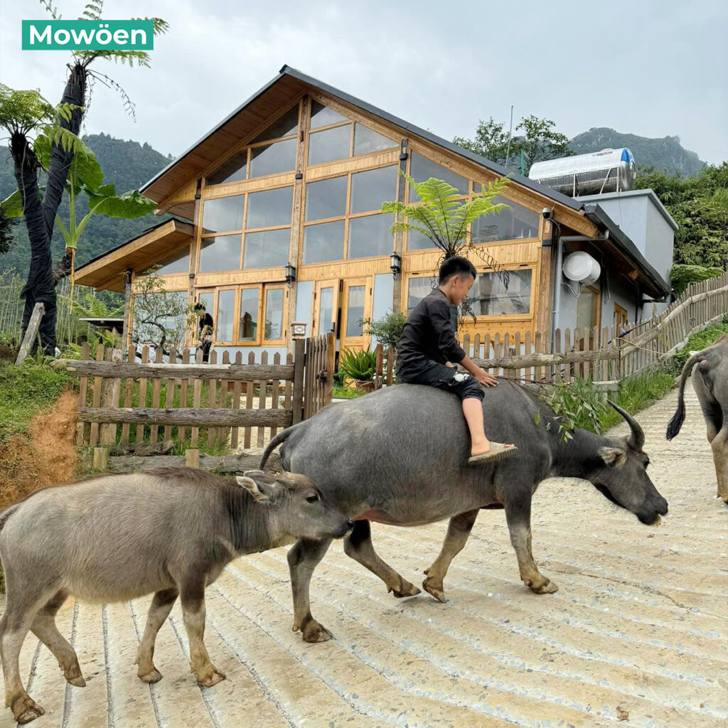 Bồn tắm Mowoen tại Homestay Chapa villa Sapa